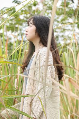 你是我的荣耀电视剧免费观看完整版