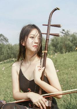 韶华若锦电视剧免费观看全集在线播放